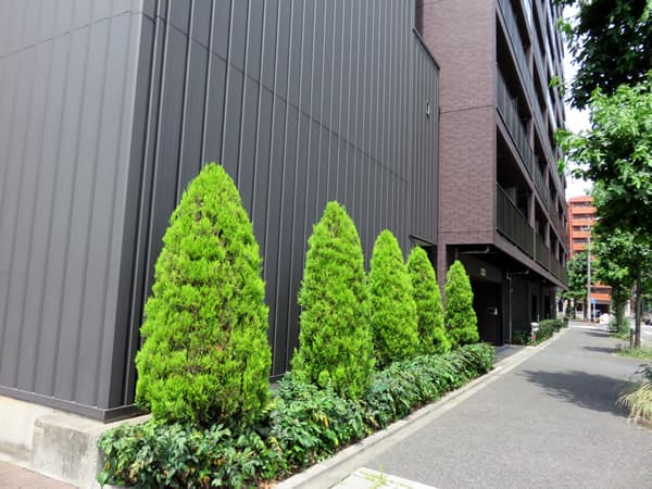 フェニックス新横浜クアトロ 11