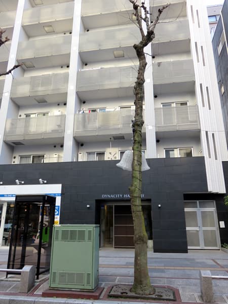 ダイナシティ八王子 4