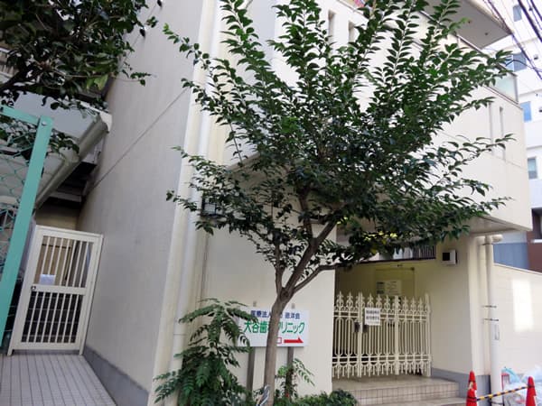 ルックハイツうぐいす谷 6