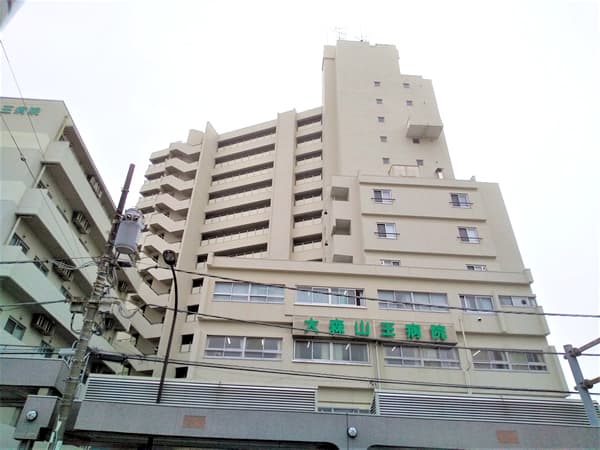 山王スカイマンション 1