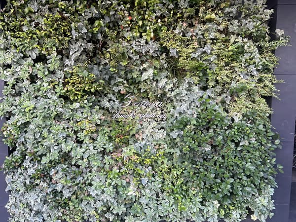 ジェノヴィア新宿グリーンヴェール 3